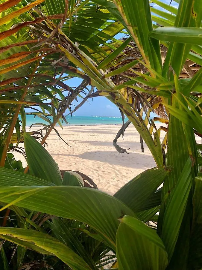 Villa Beach House 3 Bedrooms Pickup Wifi Bbq - Playa Los Corales Punta Cana Dominican Republic