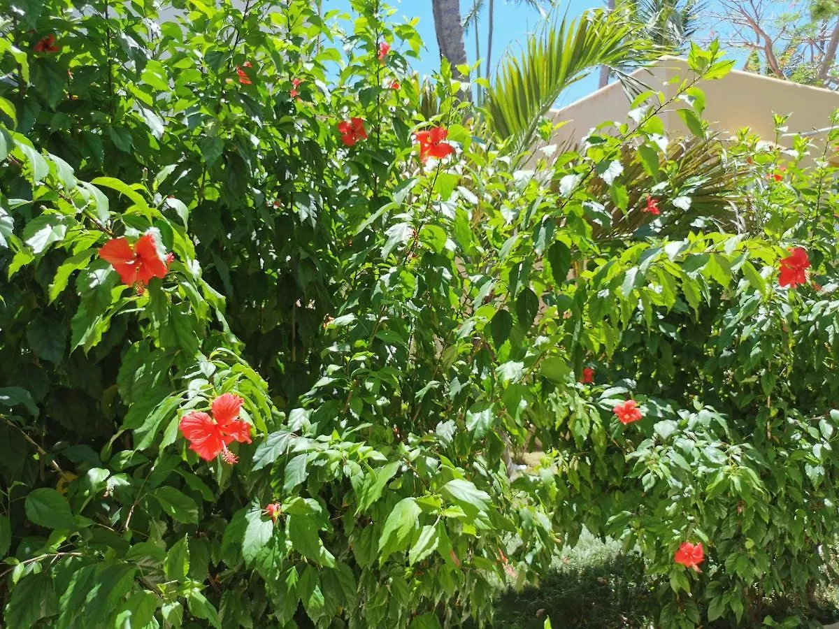 Beach House 3 Bedrooms Pickup Wifi Bbq - Playa Los Corales Punta Cana 0*,