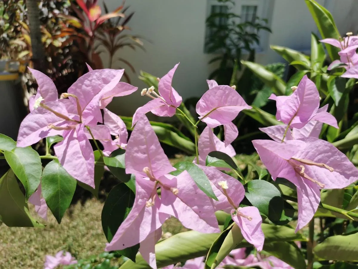 Beach House 3 Bedrooms Pickup Wifi Bbq - Playa Los Corales Punta Cana 0*,  Dominican Republic